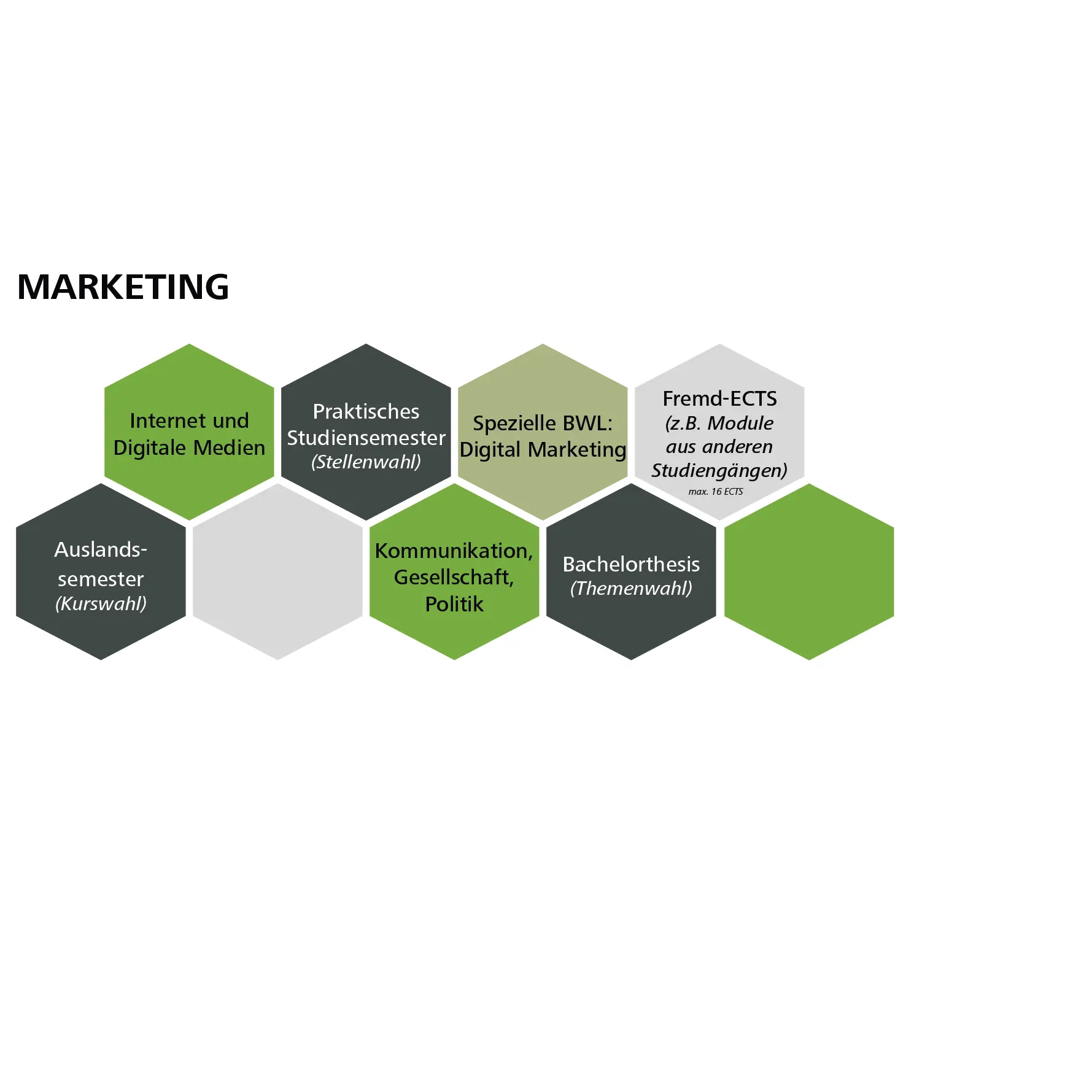 Grafik zum Studienpfad "Marketing"