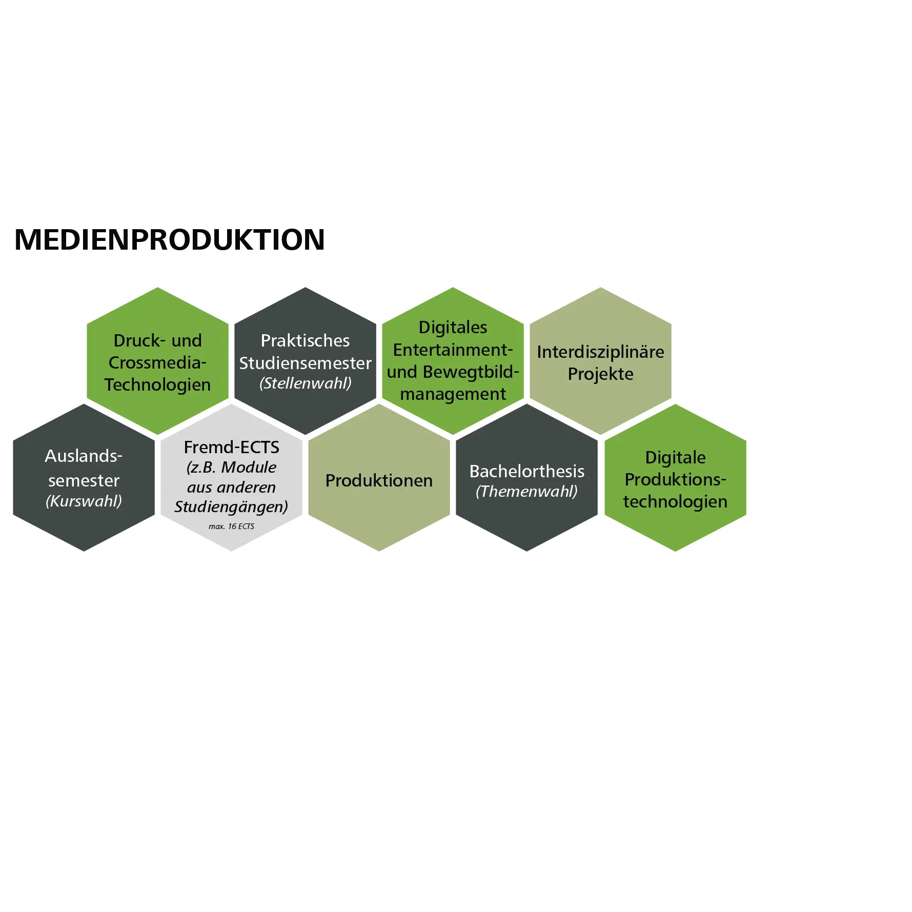 Grafik zum Studienpfad "Medienproduktion"