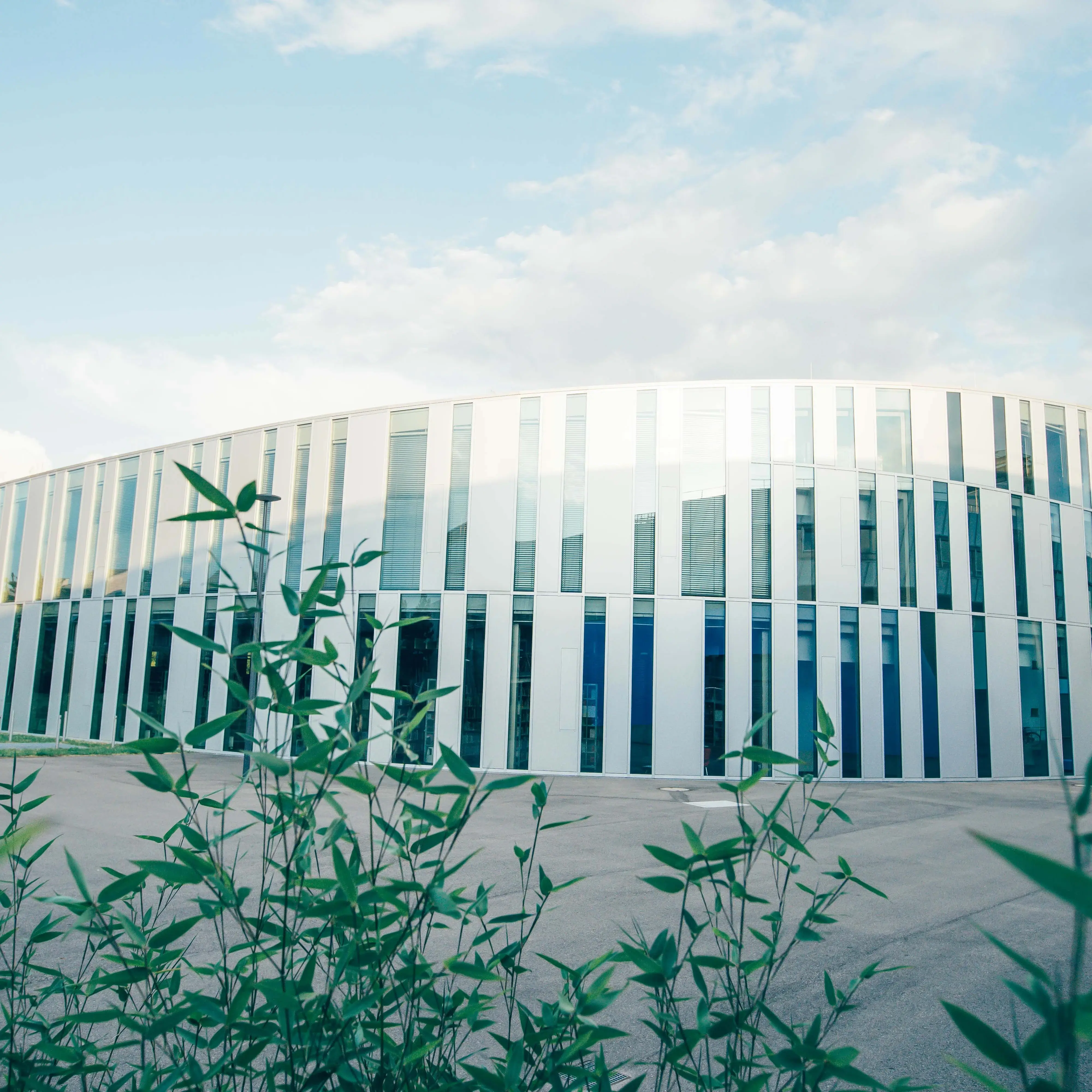 Der sogenannte Zitonenschnitz, ein Nebengebäude der Hochschule der Medien enthält die Bibliothek, Vorlesungssäle und Sitzgelegenheiten für Studierende.