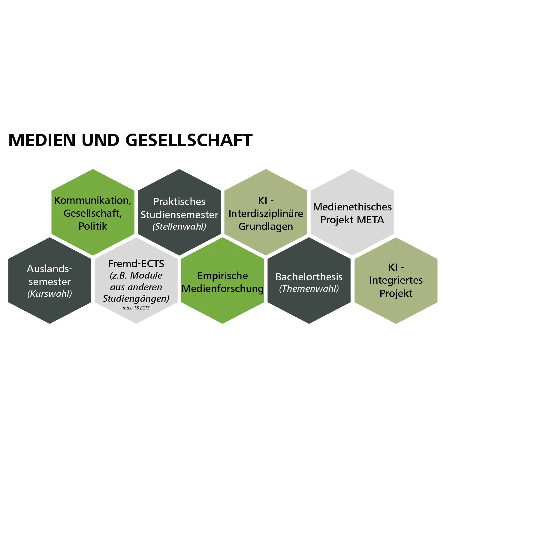 Grafik zum Studienpfad "Medien und Gesellschaft"
