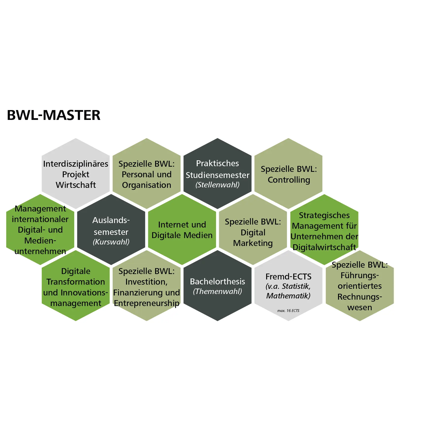 Grafik zum Studienpfad "BWL-Master"