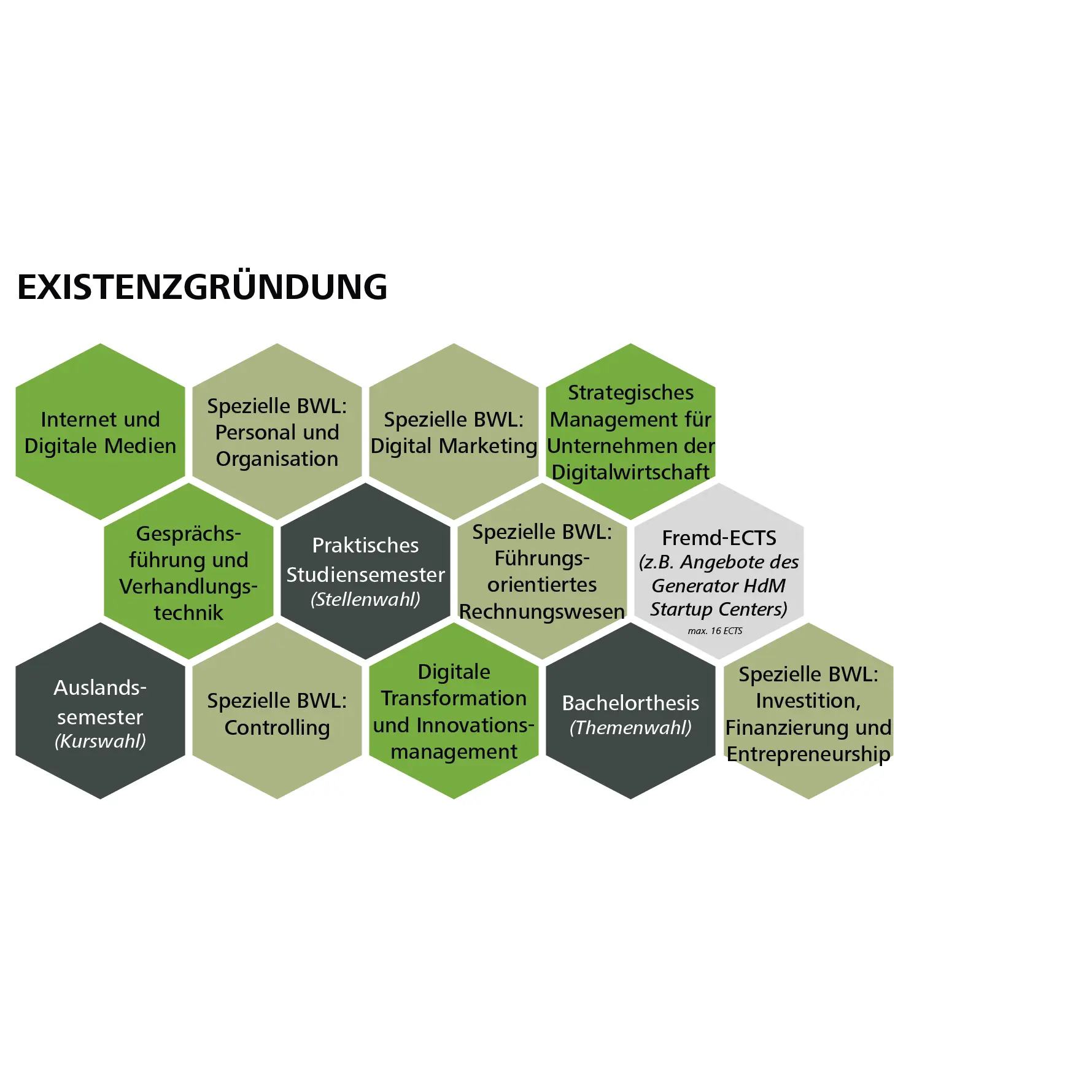 Grafik zum Studienpfad "Existenzgründung"