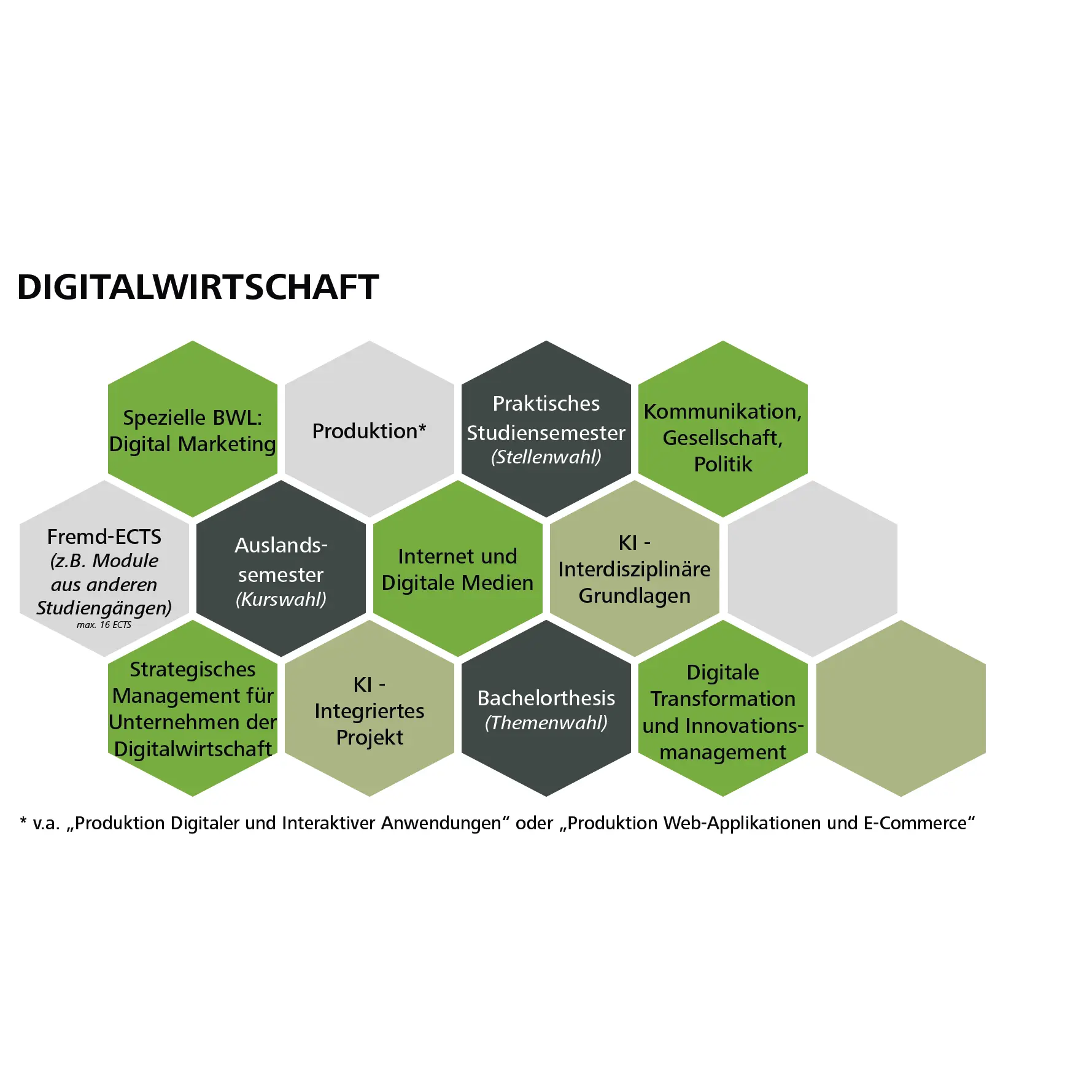 Grafik zum Studienpfad "Digitalwirtschaft"