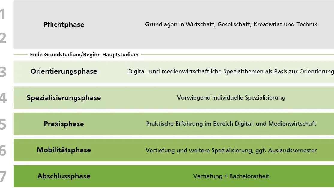 Die Phasen des Studiums