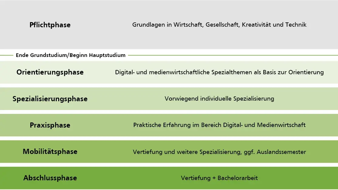 Die Phasen des Studiums